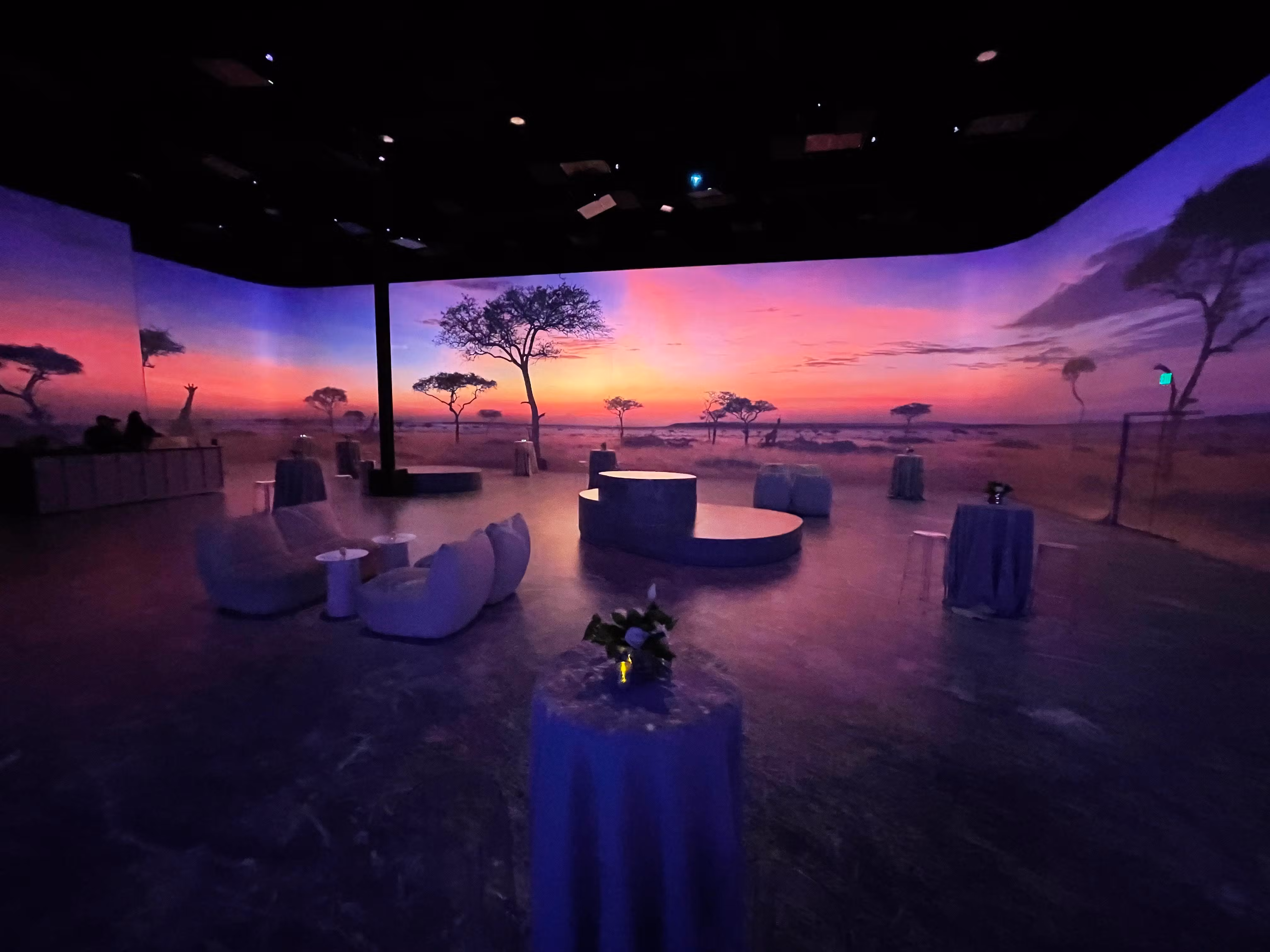 Illuminarium Venues